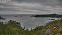 ./images/calvert/foggy-cove/20250813/foggy-cove20250813_083011M.jpg