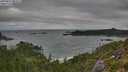 ./images/calvert/foggy-cove/20250813/foggy-cove20250813_083511M.jpg