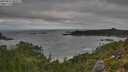 ./images/calvert/foggy-cove/20250813/foggy-cove20250813_084508M.jpg