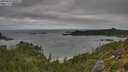 ./images/calvert/foggy-cove/20250813/foggy-cove20250813_085009M.jpg