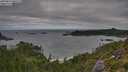 ./images/calvert/foggy-cove/20250813/foggy-cove20250813_085508M.jpg