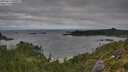 ./images/calvert/foggy-cove/20250813/foggy-cove20250813_090009M.jpg