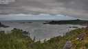 ./images/calvert/foggy-cove/20250813/foggy-cove20250813_091511M.jpg
