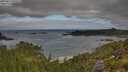 ./images/calvert/foggy-cove/20250813/foggy-cove20250813_092009M.jpg
