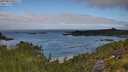 ./images/calvert/foggy-cove/20250813/foggy-cove20250813_092509M.jpg