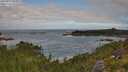 ./images/calvert/foggy-cove/20250813/foggy-cove20250813_093009M.jpg