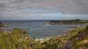 ./images/calvert/foggy-cove/20250813/foggy-cove20250813_093506M.jpg