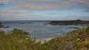 ./images/calvert/foggy-cove/20250813/foggy-cove20250813_094010M.jpg