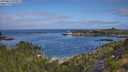 ./images/calvert/foggy-cove/20250813/foggy-cove20250813_095011M.jpg