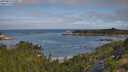 ./images/calvert/foggy-cove/20250813/foggy-cove20250813_100011M.jpg