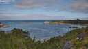 ./images/calvert/foggy-cove/20250813/foggy-cove20250813_100508M.jpg