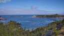 ./images/calvert/foggy-cove/20250813/foggy-cove20250813_101511M.jpg