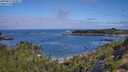 ./images/calvert/foggy-cove/20250813/foggy-cove20250813_102011M.jpg