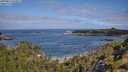 ./images/calvert/foggy-cove/20250813/foggy-cove20250813_103012M.jpg