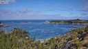 ./images/calvert/foggy-cove/20250813/foggy-cove20250813_105510M.jpg
