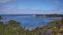 ./images/calvert/foggy-cove/20250813/foggy-cove20250813_110509M.jpg