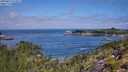 ./images/calvert/foggy-cove/20250813/foggy-cove20250813_111011M.jpg