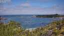 ./images/calvert/foggy-cove/20250813/foggy-cove20250813_111511M.jpg