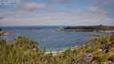 ./images/calvert/foggy-cove/20250813/foggy-cove20250813_112011M.jpg