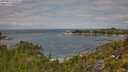 ./images/calvert/foggy-cove/20250813/foggy-cove20250813_114509M.jpg