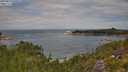 ./images/calvert/foggy-cove/20250813/foggy-cove20250813_120510M.jpg