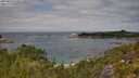 ./images/calvert/foggy-cove/20250813/foggy-cove20250813_121010M.jpg