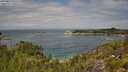 ./images/calvert/foggy-cove/20250813/foggy-cove20250813_121510M.jpg