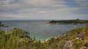 ./images/calvert/foggy-cove/20250813/foggy-cove20250813_122507M.jpg