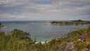 ./images/calvert/foggy-cove/20250813/foggy-cove20250813_123011M.jpg