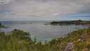 ./images/calvert/foggy-cove/20250813/foggy-cove20250813_130510M.jpg