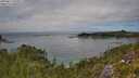 ./images/calvert/foggy-cove/20250813/foggy-cove20250813_132011M.jpg