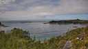./images/calvert/foggy-cove/20250813/foggy-cove20250813_133011M.jpg