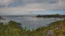 ./images/calvert/foggy-cove/20250813/foggy-cove20250813_133510M.jpg