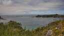 ./images/calvert/foggy-cove/20250813/foggy-cove20250813_134510M.jpg