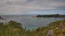 ./images/calvert/foggy-cove/20250813/foggy-cove20250813_135011M.jpg