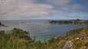 ./images/calvert/foggy-cove/20250813/foggy-cove20250813_141009M.jpg
