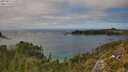 ./images/calvert/foggy-cove/20250813/foggy-cove20250813_144509M.jpg