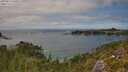 ./images/calvert/foggy-cove/20250813/foggy-cove20250813_145011M.jpg