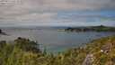 ./images/calvert/foggy-cove/20250813/foggy-cove20250813_145510M.jpg
