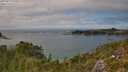 ./images/calvert/foggy-cove/20250813/foggy-cove20250813_150011M.jpg