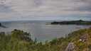 ./images/calvert/foggy-cove/20250813/foggy-cove20250813_152008M.jpg