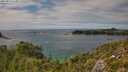 ./images/calvert/foggy-cove/20250813/foggy-cove20250813_153009M.jpg