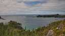 ./images/calvert/foggy-cove/20250813/foggy-cove20250813_153510M.jpg
