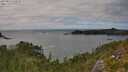 ./images/calvert/foggy-cove/20250813/foggy-cove20250813_154510M.jpg