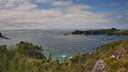 ./images/calvert/foggy-cove/20250813/foggy-cove20250813_160510M.jpg
