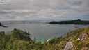 ./images/calvert/foggy-cove/20250813/foggy-cove20250813_161510M.jpg