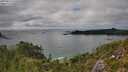 ./images/calvert/foggy-cove/20250813/foggy-cove20250813_164510M.jpg