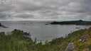 ./images/calvert/foggy-cove/20250813/foggy-cove20250813_165510M.jpg