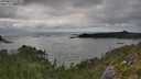 ./images/calvert/foggy-cove/20250813/foggy-cove20250813_172009M.jpg