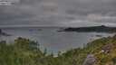 ./images/calvert/foggy-cove/20250813/foggy-cove20250813_195008M.jpg